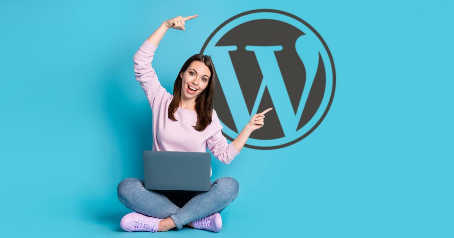 WordPress Eklenti Geliştirme Hizmetleri